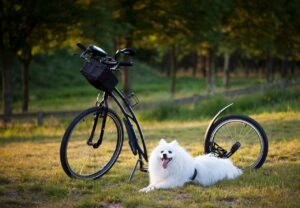 任意整理の解決にかかる期間はどれくらい？