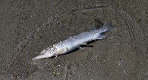 ペイディの滞納問題を解決するための債務整理相談はどこでできる？