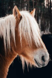 督促電話を止めるための受任通知の効果とは？