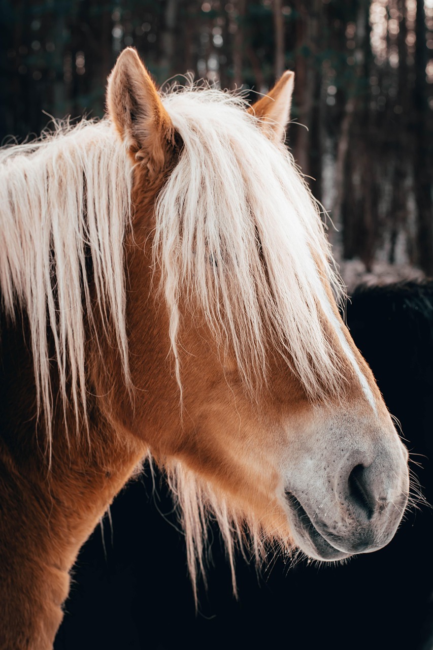 督促電話を止めるための受任通知の効果とは？