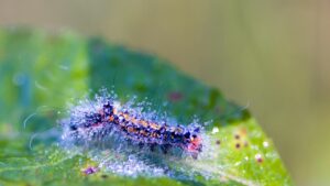 任意整理で利息カットした場合の月額減額はどのくらい？