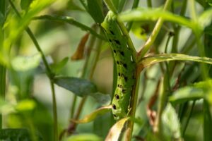 任意整理をネットで完結させるための無料相談はどこで受けられる？