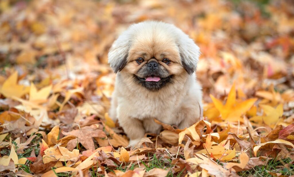 特定調停体験談を通じて知る、実際の手続きの流れとは？