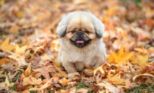 特定調停体験談を通じて知る、実際の手続きの流れとは？