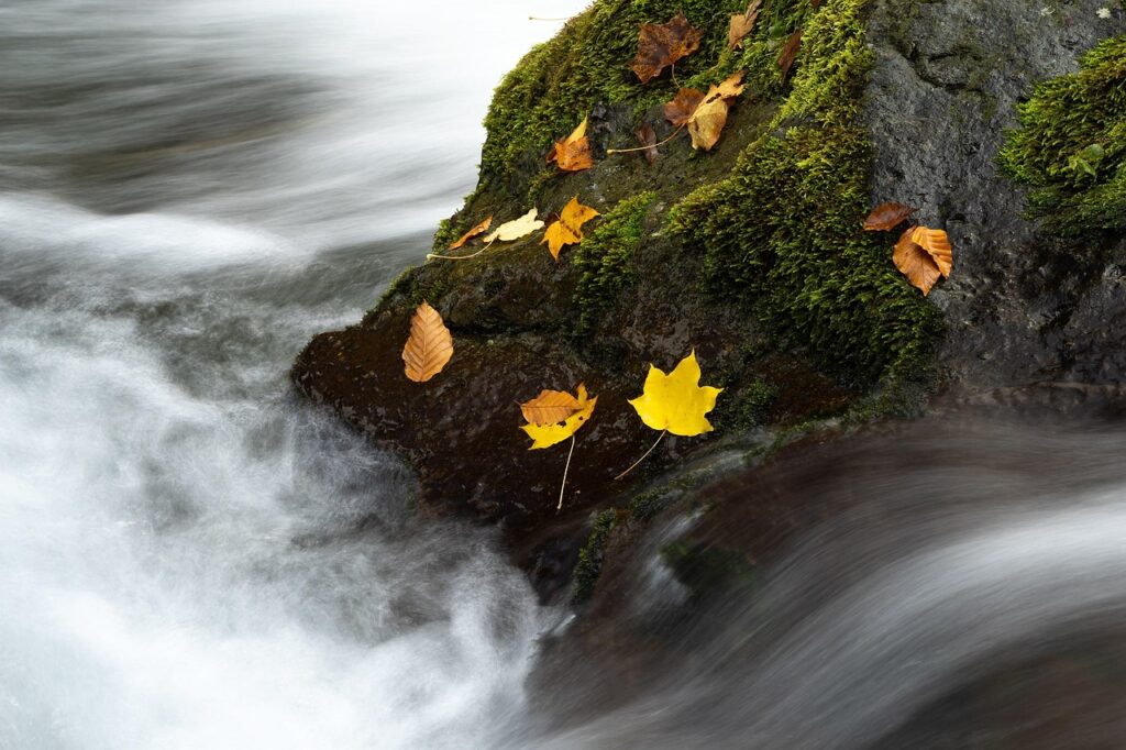 債務整理手続きの流れを知りたい方へ、具体的なステップは？