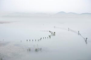 ネット債務整理の匿名診断はどこで受けられる？