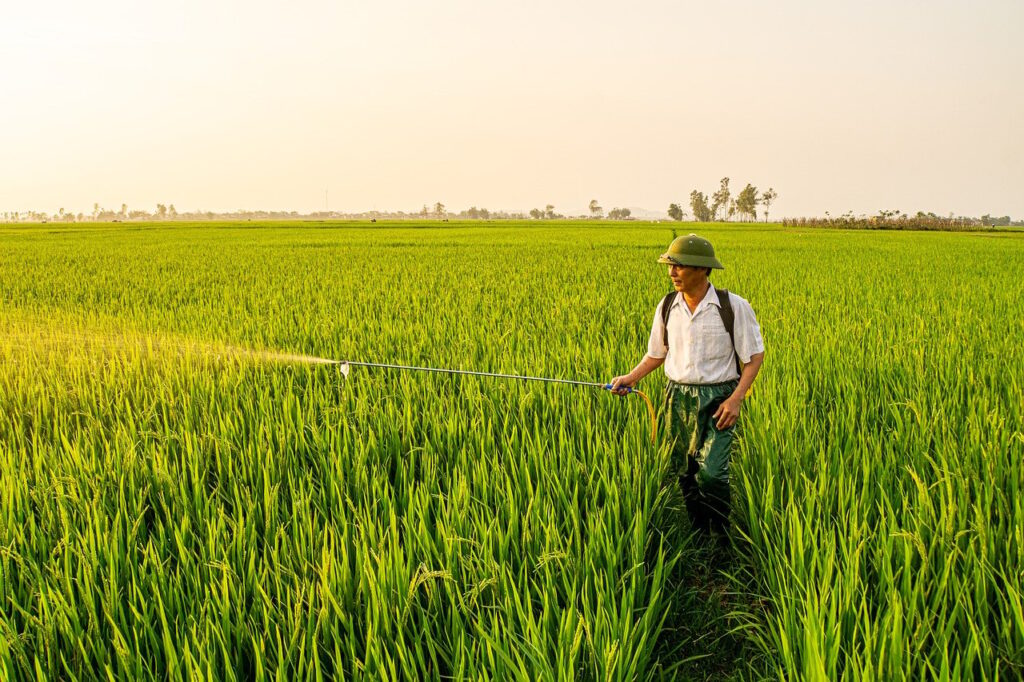 債務整理の専門家選びで失敗しないためのポイントは？