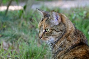 破産を迷っているあなたに知ってほしい重要なポイントは？