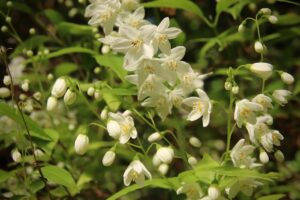 債務整理で支払督促が来たら何日以内に対応すべき？