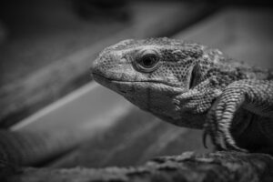 返済額を下げるための効果的な方法は？